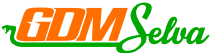 logo img